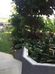 Bartley Residences (D19), Apartment #592627421